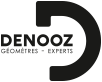Denooz Logo